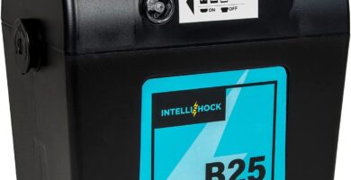 Intellishock B25 cerco eléctrico